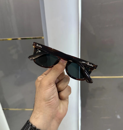 RayBan Grey Black Glossy Premium Shades 4487